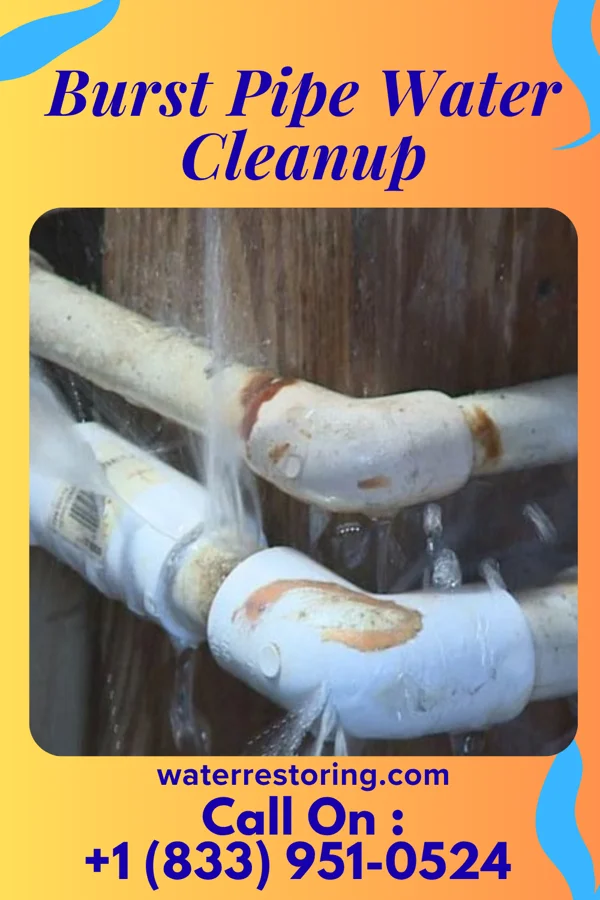 Burst Pipe Water Cleanup in Metcalf, IL